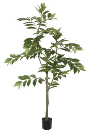 Wayfair Nandina Foliage Tree in Pot