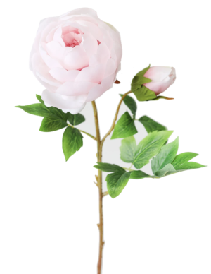 AFloral Silk Peony in Light Pink – 24″ Tall