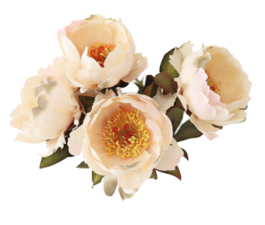 Afloral Cream Peach Silk Open Peony Fall Flower – 22″ Tall