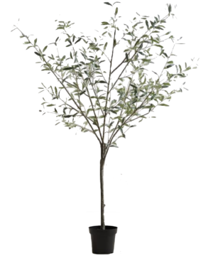 Pottery Barn Faux Potted Olive Tree, XL