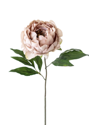 Afloral Silk Flower Peony in Taupe Mauve – 18″ Tall