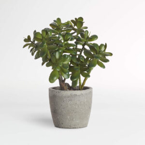 Crate & Barrel Faux Potted Jade Plant
