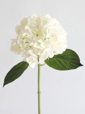 AFloral Real Touch Hydrangea in Talc White – 18″
