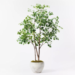 Target 72″ Artificial Ficus Tree – Threshold™ designed with Studio McGee