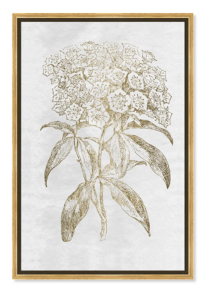 Wayfair Oliver Gal ” Floral Sketch Gold Border “