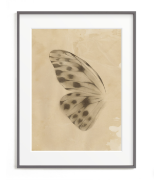 Minted Vintage Mariposa I by jinseikou