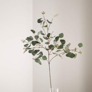 Crate & Barrel Small Faux Silver Dollar Eucalyptus Stem